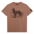 画像1: PASS~PORT.  " KELPIE TEE " - DUSTY BROWN (1)