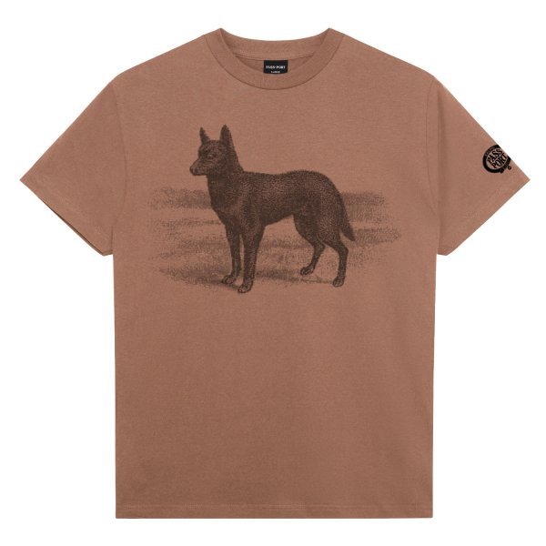 画像1: PASS~PORT.  " KELPIE TEE " - DUSTY BROWN (1)