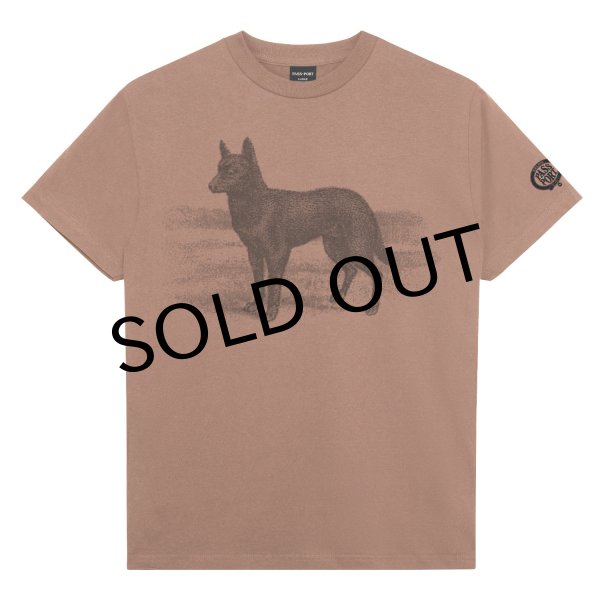 画像1: PASS~PORT.  " KELPIE TEE " - DUSTY BROWN (1)