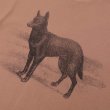画像3: PASS~PORT.  " KELPIE TEE " - DUSTY BROWN (3)