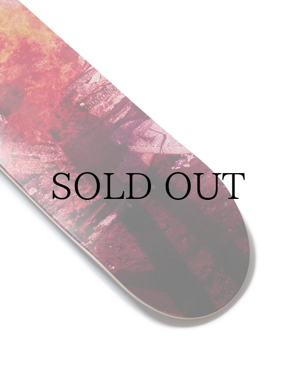 画像4: EVISEN " PORTRAIT (Artwork by DAIDO MORIYAMA) " - 8.0inch (4)