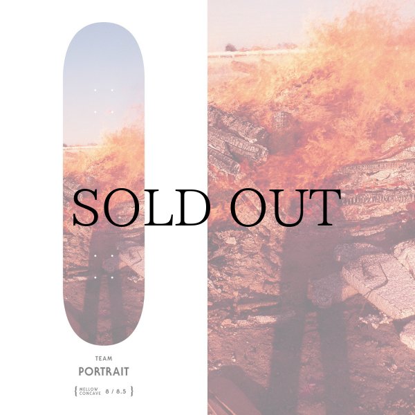 画像1: EVISEN " PORTRAIT (Artwork by DAIDO MORIYAMA) " - 8.0inch (1)