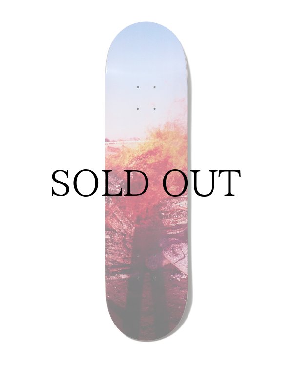 画像2: EVISEN " PORTRAIT (Artwork by DAIDO MORIYAMA) " - 8.0inch (2)