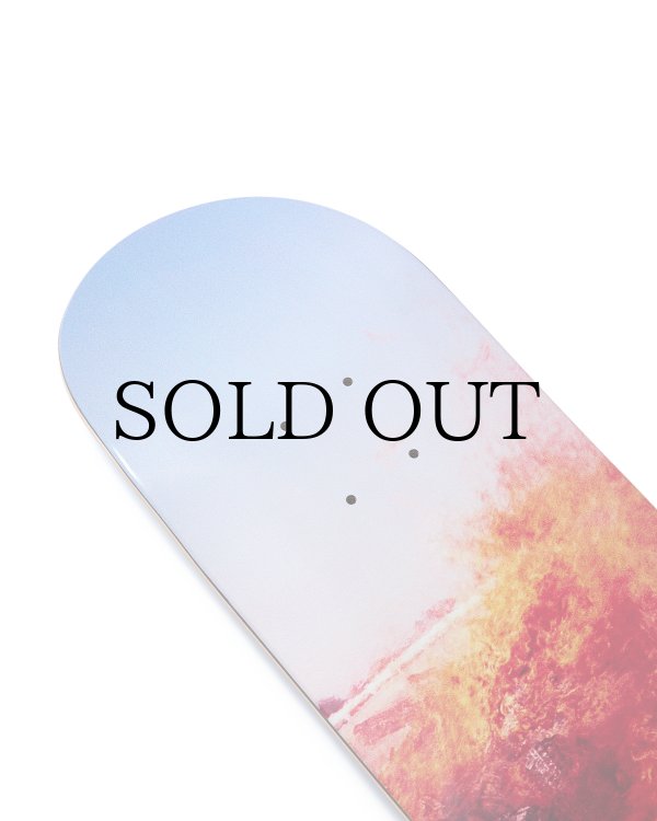 画像3: EVISEN " PORTRAIT (Artwork by DAIDO MORIYAMA) " - 8.0inch (3)