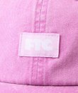画像2: FTC " SMALL LOGO 6 PANEL " - LAVENDER (2)