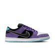 画像11: 【 抽選販売 】NIKE SB " HAYLEY WILSON DUNK QS " (11)