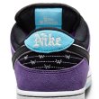 画像15: 【 抽選販売 】NIKE SB " HAYLEY WILSON DUNK QS " (15)