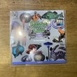 画像1: Mix CD - MASS-HOLE 「 Taster's Club Vol.4 」 (1)