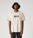 画像4: FORMER MERCHANDISE "LEGACY PLATE TEE" - STONE (4)