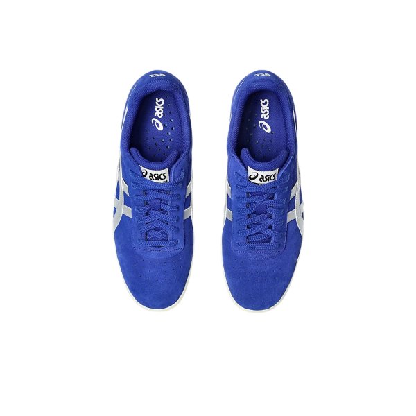 画像5: ASICS SKATEBOARDING " GEL-VICKKA PRO " - PRUSSIAN BLUE / PURE SILVER (5)