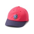 画像1: FTC " LAUREL 6 PANEL " - CHERRY (1)