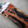 画像3: GX1000 " GOLDEN GATE by Savie " - 8.0  X 31.625  inch   (3)