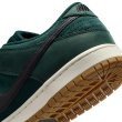 画像10: 【 NIKE SB 抽選販売 】 NIKE SB DUNK LOW PRO - DEEP FIR (10)