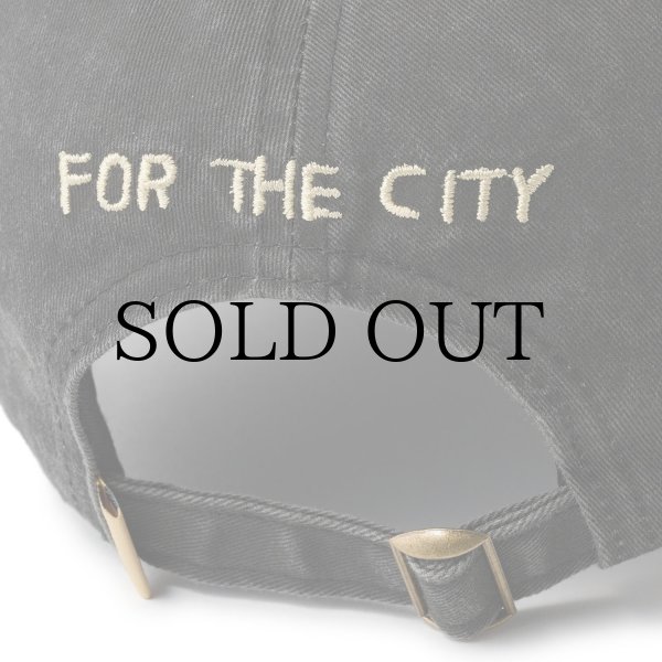 画像4: FTC x JUSTIN HAGER 6 PANEL - BLACK (4)