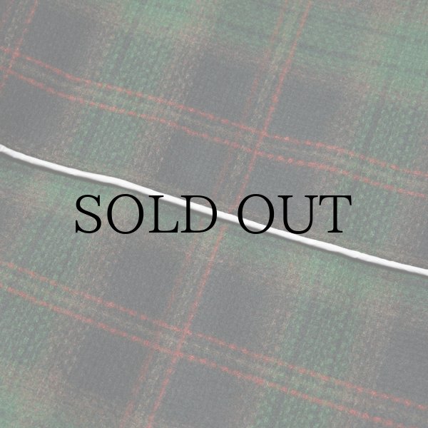 画像9: EVISEN " DOTERA DOWN JACKET (3M Thinsulate™︎) " - GREEN (9)