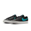 画像1: NIKE SB " ZOOM BLAZER LOW PRO GT "  - BLACK / DUSTY CACTUS (1)