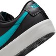 画像11: NIKE SB " ZOOM BLAZER LOW PRO GT "  - BLACK / DUSTY CACTUS (11)
