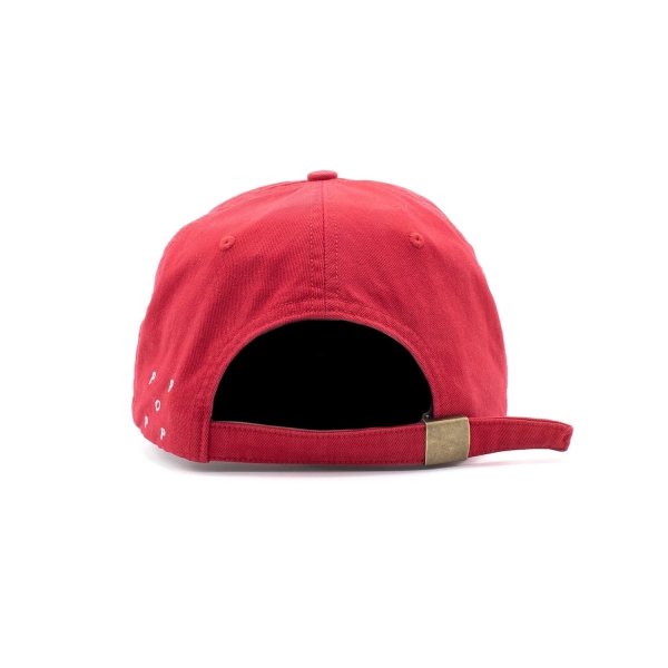 画像2: POP TRADING COMPANY " POP ARCH SIXPANEL FLEXFOAM HAT " -  GOJI BERRY (2)