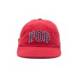 画像1: POP TRADING COMPANY " POP ARCH SIXPANEL FLEXFOAM HAT " -  GOJI BERRY (1)