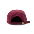画像2: POP TRADING COMPANY " POP FLEXFOAM SIXPANEL HAT " -  fudge (2)