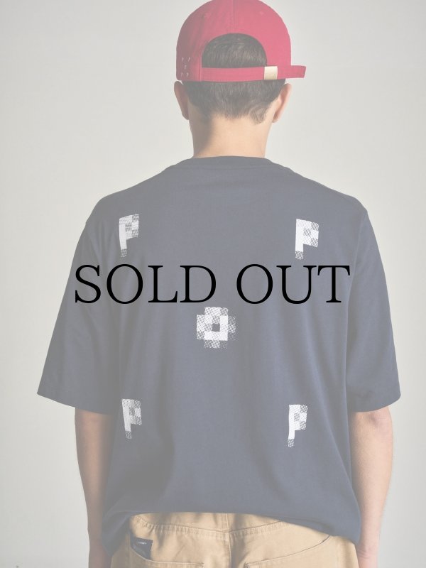 画像4: POP TRADING COMPANY " POP ARCH SIXPANEL FLEXFOAM HAT " -  GOJI BERRY (4)