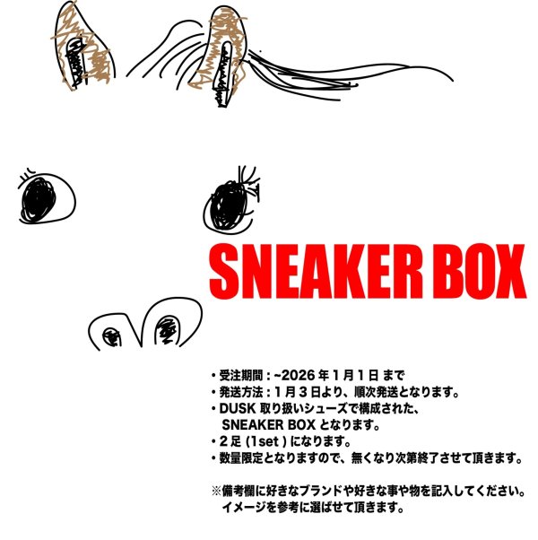 画像1: DUSK " SNEAKER BOX  " (1)