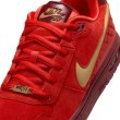 画像11: 【 NIKE SB 抽選販売 】NIKE SB " PAUL RODRIGUEZ ZOOM AIR LOW QS / ALL-STAR " (11)