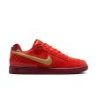 画像8: 【 NIKE SB 抽選販売 】NIKE SB " PAUL RODRIGUEZ ZOOM AIR LOW QS / ALL-STAR " (8)