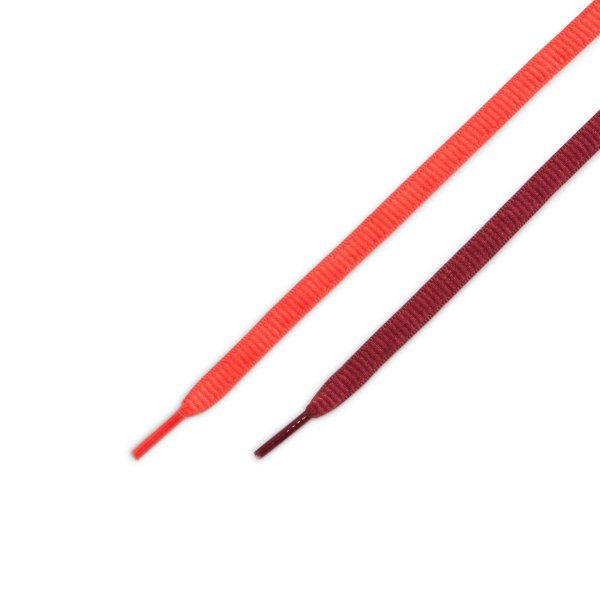 画像5: 【 NIKE SB 抽選販売 】NIKE SB " PAUL RODRIGUEZ ZOOM AIR LOW QS / ALL-STAR " (5)