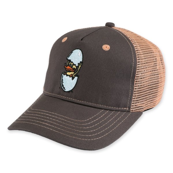 画像1: PASS~PORT " OVER IT PACKERS TRUCKER " - COFFEE (1)