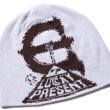 画像2: EVISEN SKATEBOARDS " ATARI LOGO BEANIE " - WHITE (2)