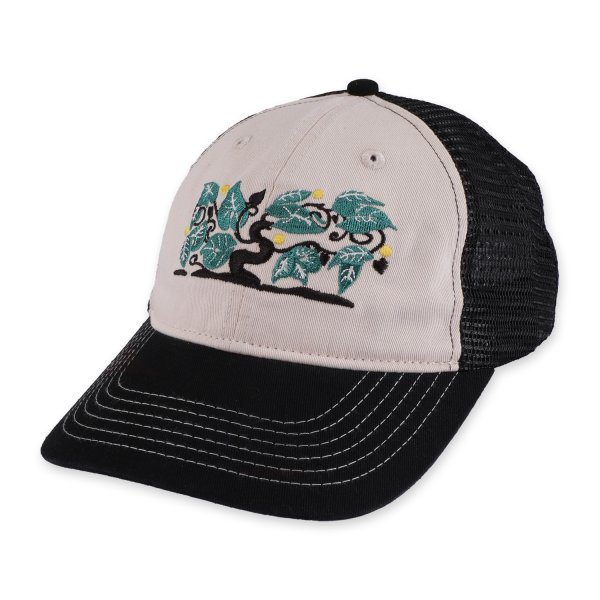 画像1: PASS~PORT " ORCHARD LEAGUES TRUCKER " - BLACK / OFF WHITE (1)
