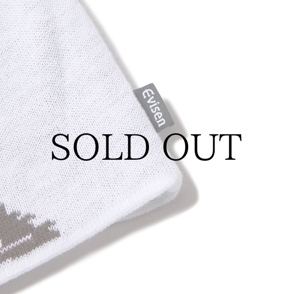 画像3: EVISEN SKATEBOARDS " ATARI LOGO BEANIE " - WHITE (3)