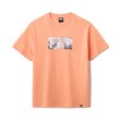 画像1: FTC " EMB FTC TEE " - GUAVA (1)