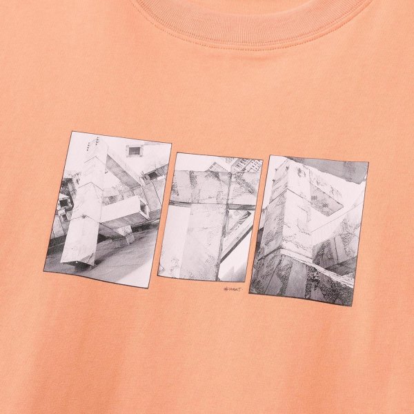 画像2: FTC " EMB FTC TEE " - GUAVA (2)