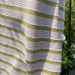 画像4: NOROLL " UNEVENNESS SS TEE" - GREEN (4)