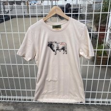 画像1: ANTIHERO " COW " - NATURAL (1)
