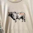 画像2: ANTIHERO " COW " - NATURAL (2)