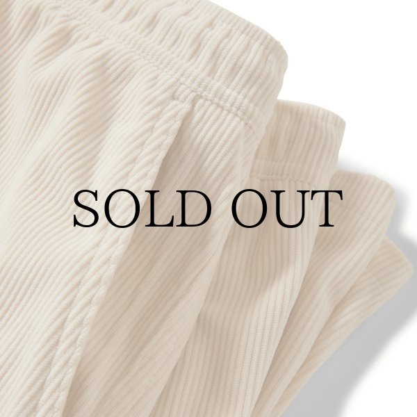 画像2: BRIXTON " EVERYDAY CORDUROY SHORT " - WHITECAP (2)