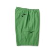 画像2: FTC | SUPPLEX® Nylon Short - Light Green (2)