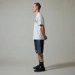 画像7: PASS~PORT |  WATTLE RPET CASUAL SHORT - NAVY / TEAL (7)