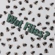画像2: PASS~PORT |  WOT FLIES TEE - WHITE (2)