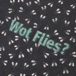 画像4: PASS~PORT |  WOT FLIES TEE - BLACK ACID (4)