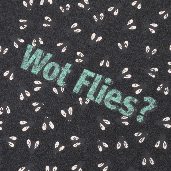 画像4: PASS~PORT |  WOT FLIES TEE - BLACK ACID (4)