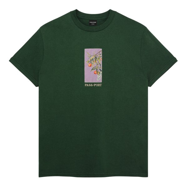 画像1: PASS~PORT |  QUANDONG TEE - FOREST GREEN (1)