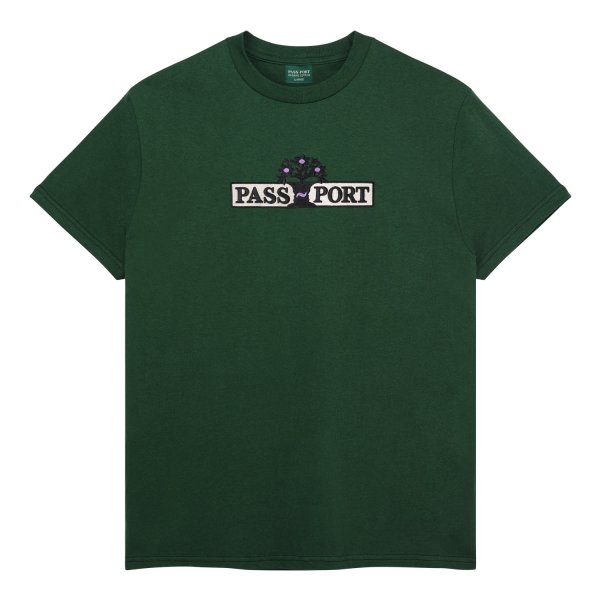 画像1: PASS~PORT |  HOUSE PLANT ORGANIC COTTON TEE - GUMNUT GREEN (1)