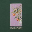 画像2: PASS~PORT |  QUANDONG TEE - FOREST GREEN (2)