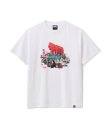 画像1: FTC | SF LANDSCAPE TEE - WHITE (1)