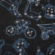 画像3: PASS~PORT | CONSTELLATIONS THROW BLANKET (3)