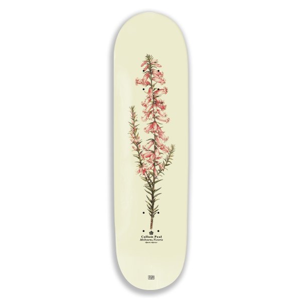 画像1: PASS~PORT | PRO REISSUES PINK HEATH Callum Paul - 8.25inch (1)